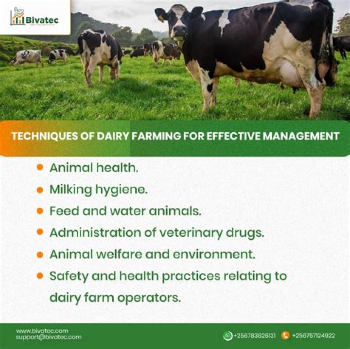 Australia Dairy Farm Management: Essential PDF Guide