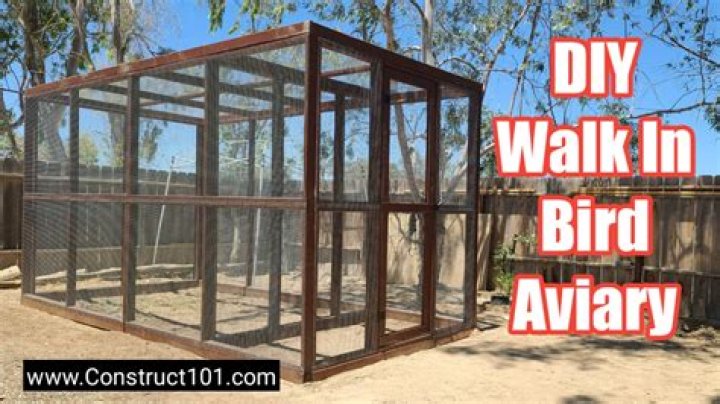 Free Aviary Plans PDF Download – Design Your Perfect Bird Enclosure