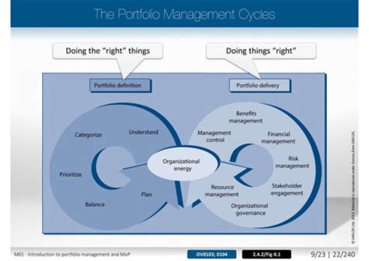 Axelos Portfolio Management PDF Guide: Optimize Investment Strategies