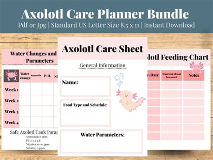 Axolotl Care Sheet PDF: Complete Guide to Raising Healthy Ambystoma mexicanum