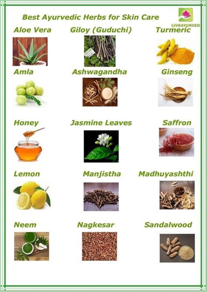 Ayurvedic Medicine List with Diseases PDF: Complete Guide