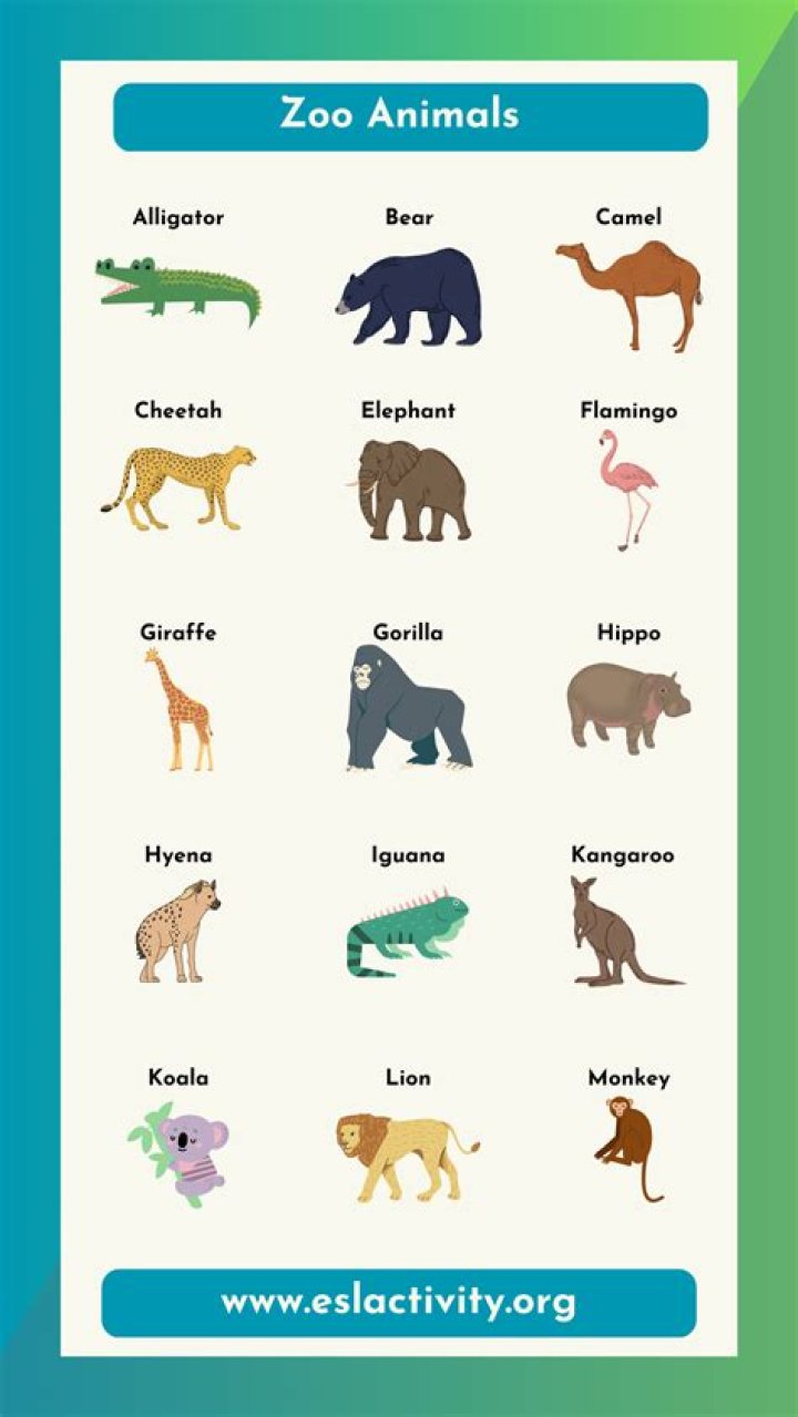 AZA Zoo List by State PDF – Complete Guide