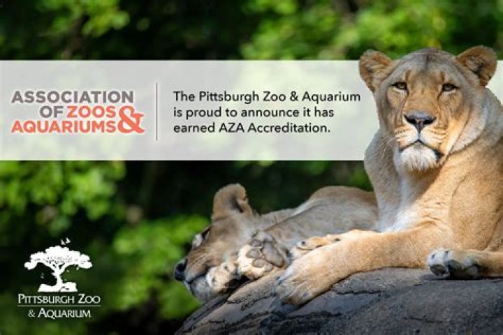 AZA Zoo Reciprocal List PDF – Get Free Download Now