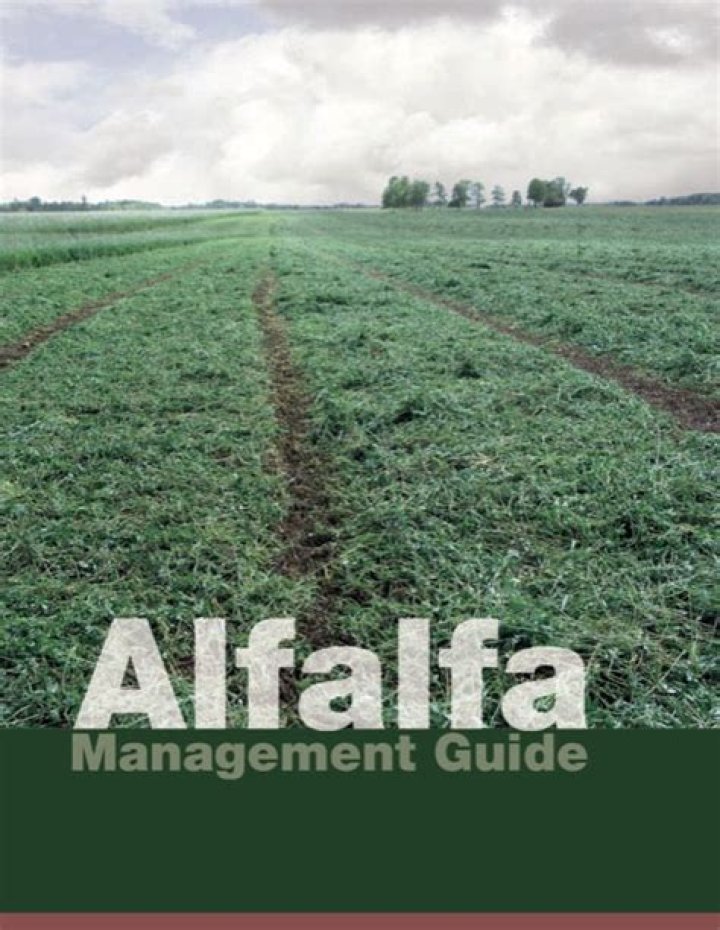 Alfalfa Management Guide PDF – Expert Farming Resources from Agronomy.org