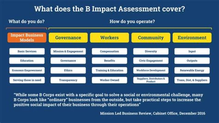 Top B Impact Assessment Questions PDF – Essential Guidance