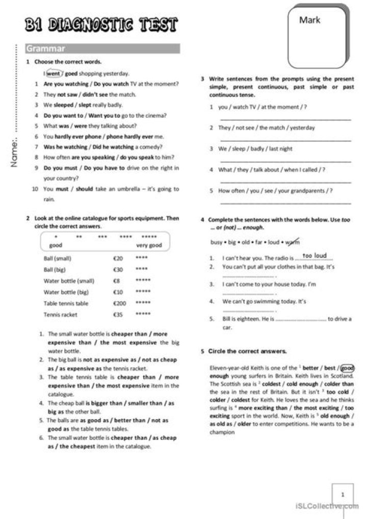 B1 Diagnostic Test PDF: Accurate & Reliable Results