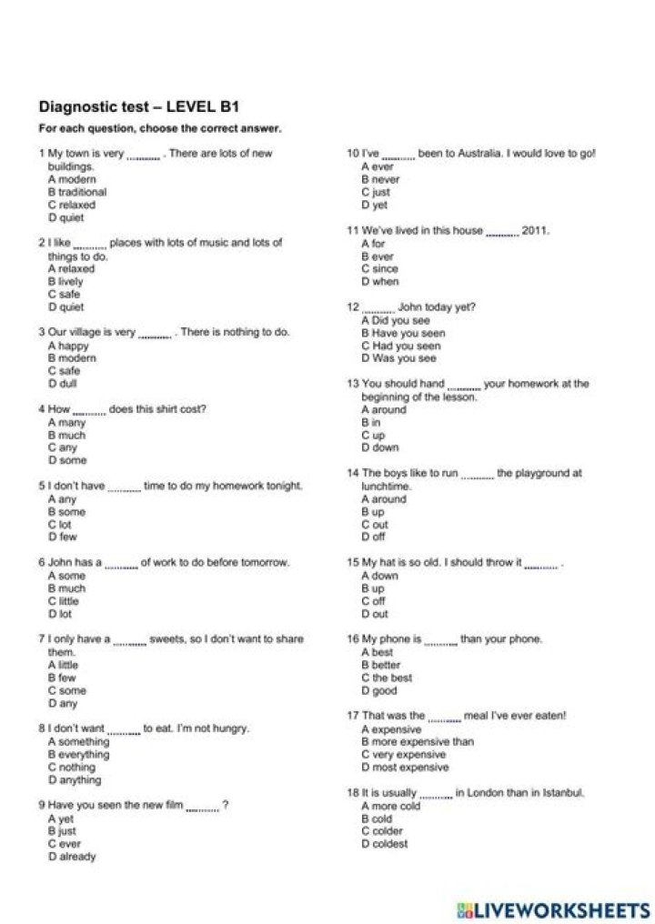 Free B1 Level English Test PDF Download