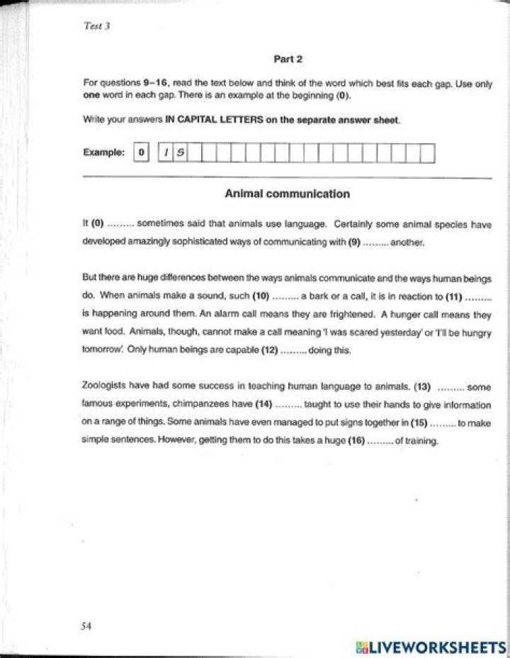 B2 Mock Test PDF – Free Download for Success