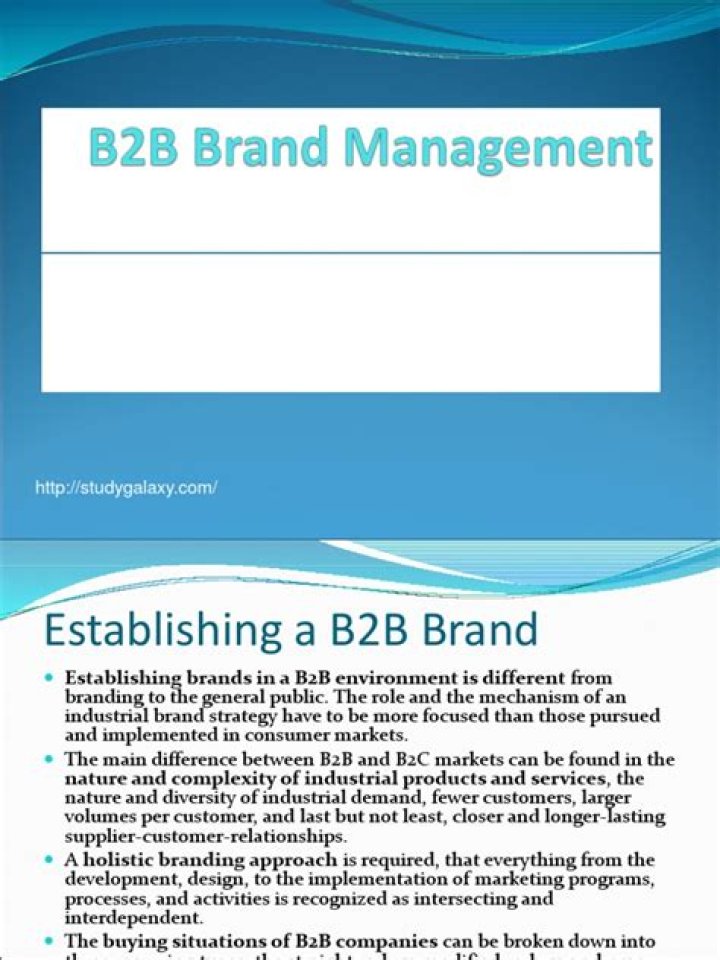 Mastering B2B Brand Management: Essential PDF Guide