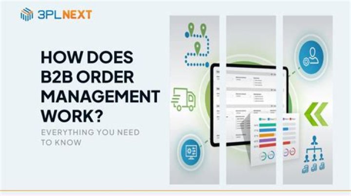 Essential B2B Management PDF Guide for Smarter Business Operations