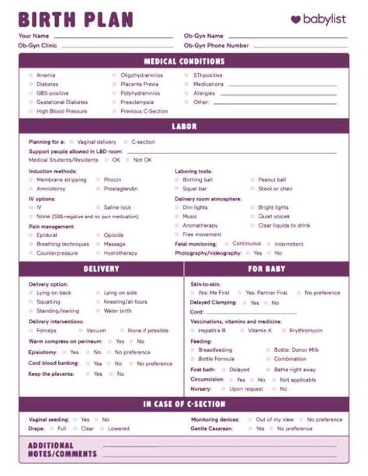 Free Babylist Birth Plan Template PDF for Easy Birth Prep