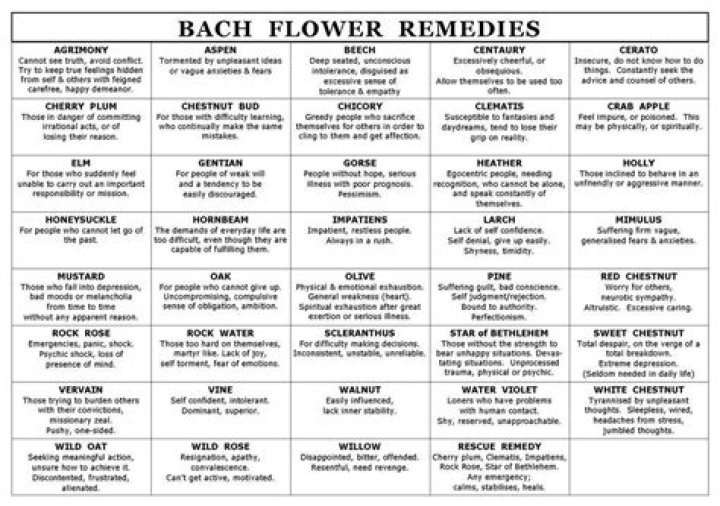 Bach Flower Remedies List PDF: Natural Healing Solutions for Emotional Balance