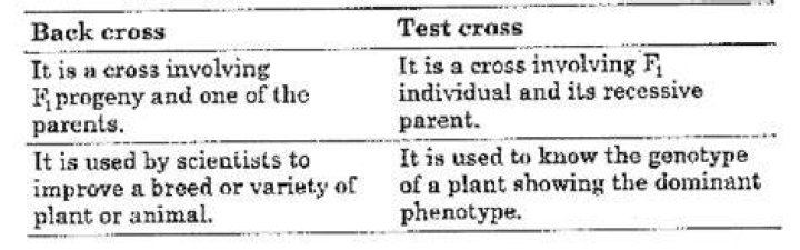 Back Cross and Test Cross PDF: Step-by-Step Guide