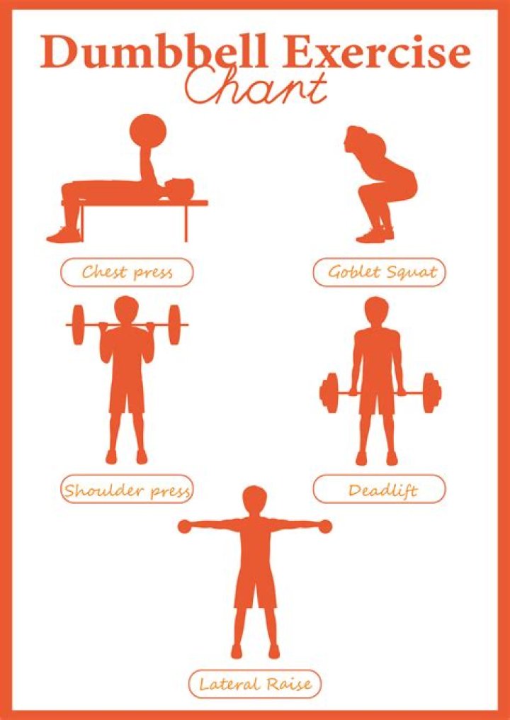 Back Workout Plan PDF: Get Stronger Shoulders & Lats Fast
