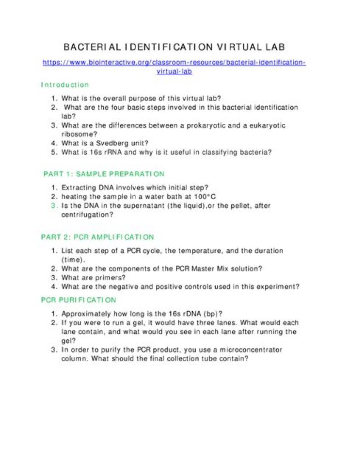 Bacterial Identification Virtual Lab Answers PDF – Step-by-Step Guide