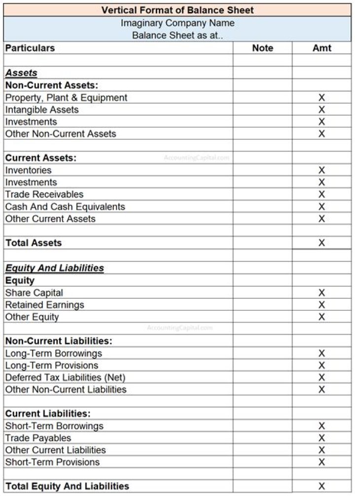 Download Free Balance Sheet Format PDF Templates