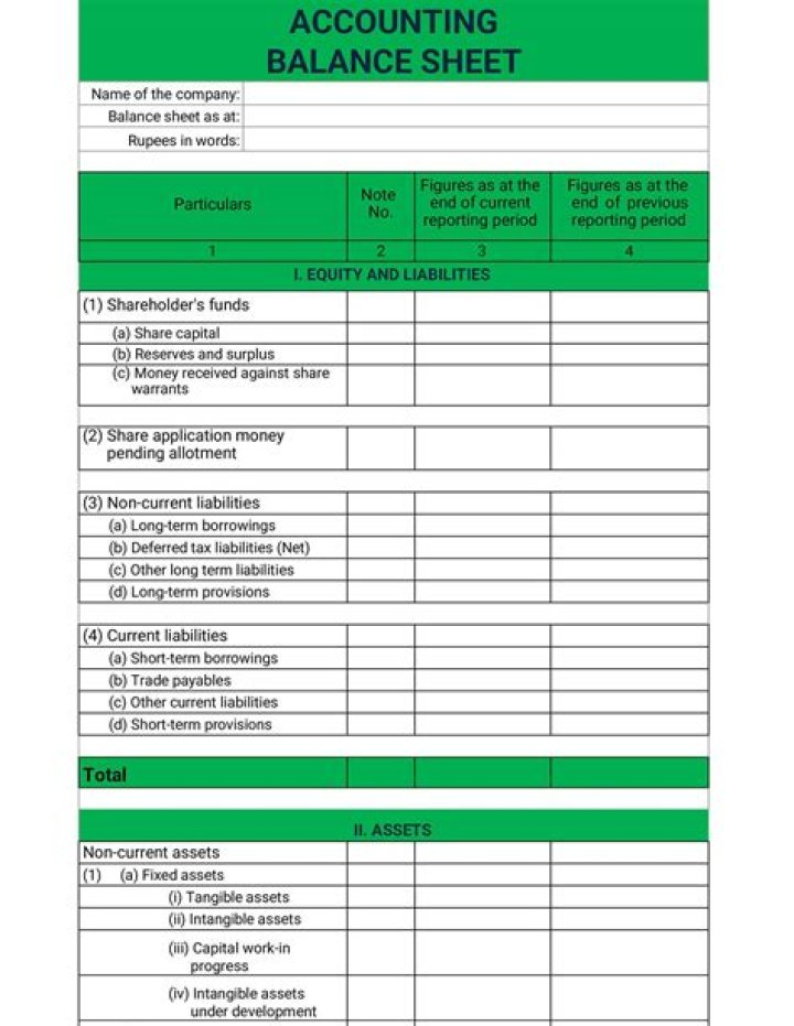 Master Balance Sheet Management with Expert PDF Guide