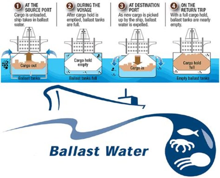 Ballast Water Management PDF: Compliance Guidelines & Best Practices