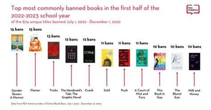 2025 Ban Book List PDF: Complete Free Download