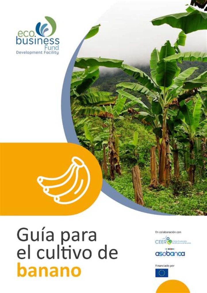 Effective Banana Management Practices PDF: Optimize Growth & Harvest