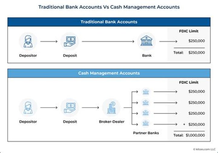 Master Bank Cash Management with Expert PDF Guide