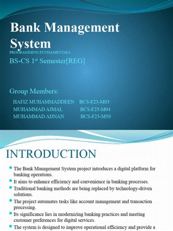 Bank Management System Project in C Language PDF for Beginners