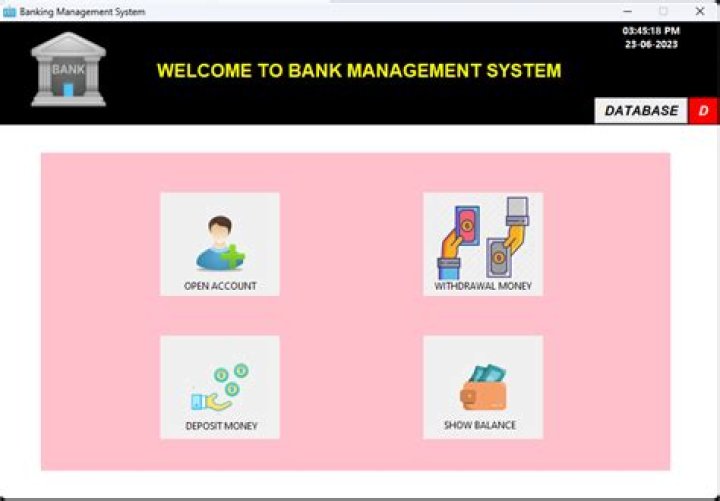 Bank Management System Project in VB.NET PDF Guide