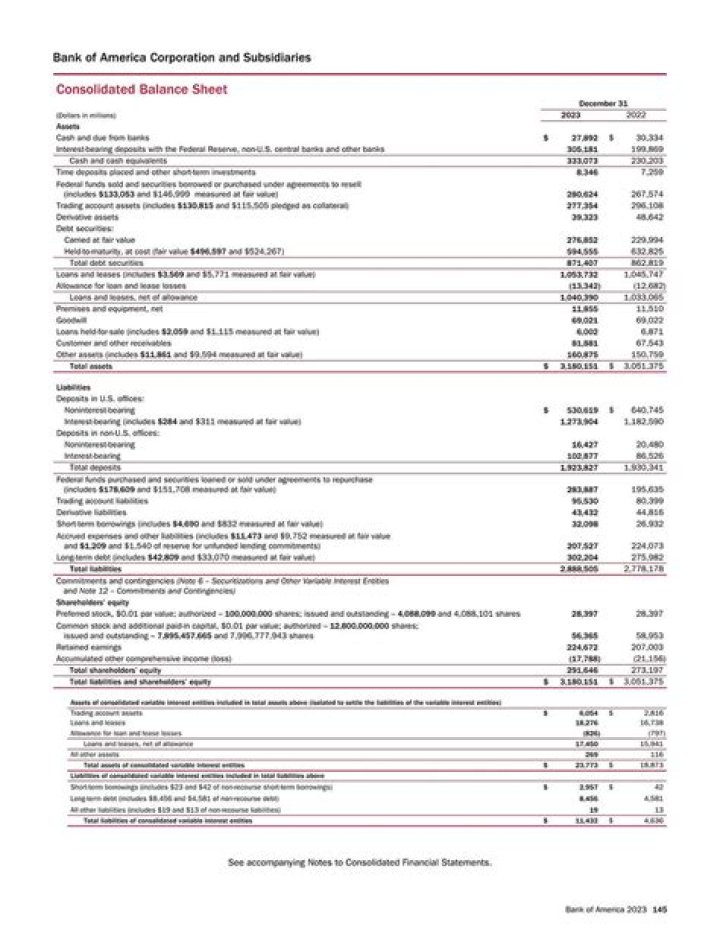 Bank of America Balance Sheet PDF: Detailed Financial Overview