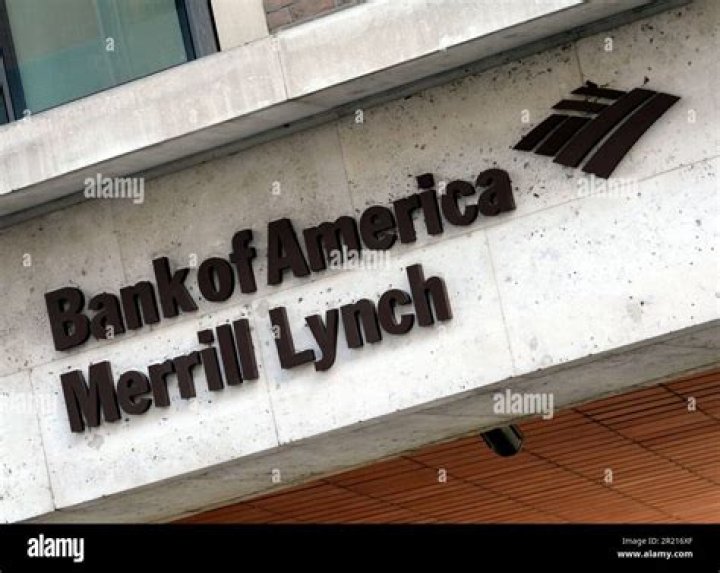 Bank of America Merrill Lynch Fund Manager Survey PDF: Key Insights & Analysis