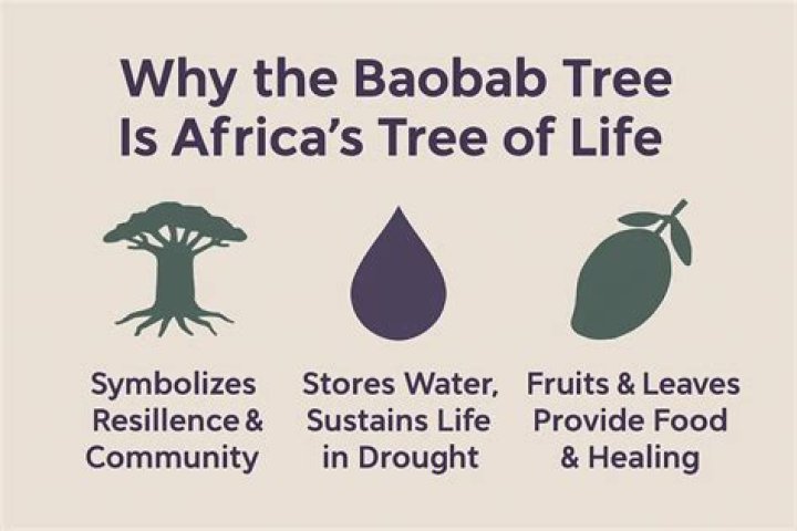 Baobab Tree of Life Answer Key PDF – Free Download