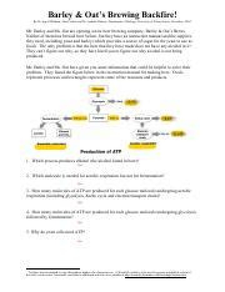 Barley and Oats Brewing Backfire PDF Answer Key & Analysis