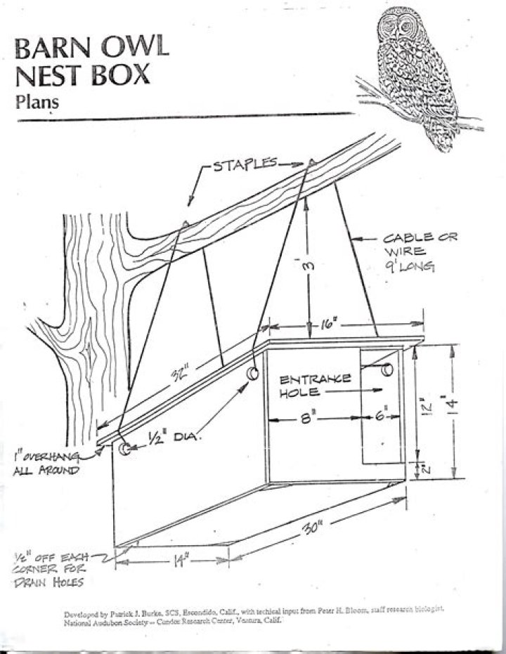Barn Owl Box Plans PDF: Build Your Own Owl Nest Shelter