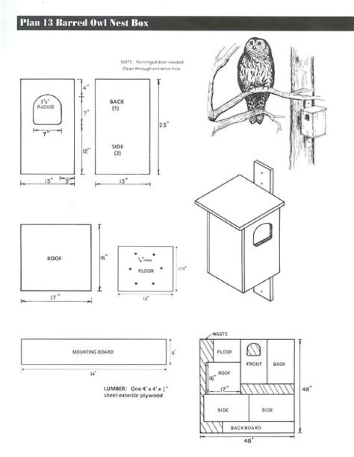 Free Barn Owl Nest Box Plans PDF – Easy DIY Construction Guide