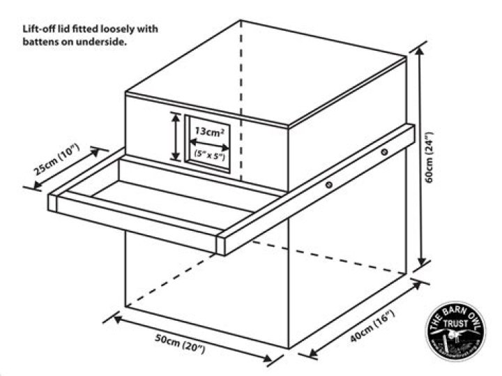 Barn Owl Nest Box Plans PDF: Build a Perfect Home for Owls