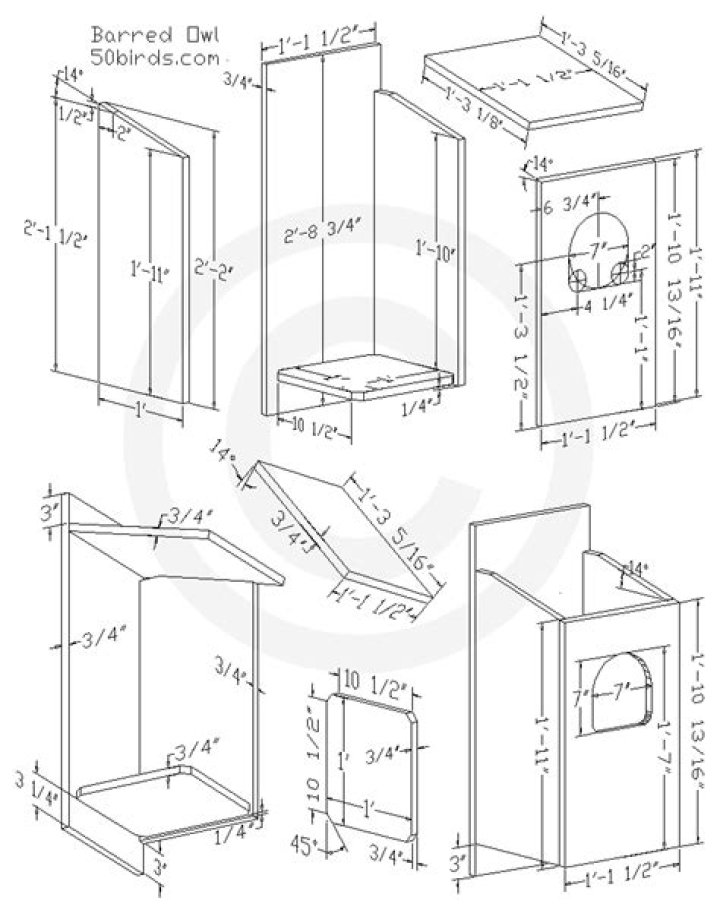Barred Owl Box Plans PDF: Build a Perfect Wildlife Shelter