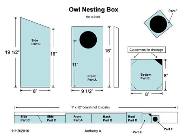 Barred Owl Nesting Box Plans PDF – Easy DIY Guide