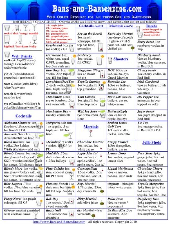 Bartender Cheat Sheet PDF – Essential Techniques for Professional Service