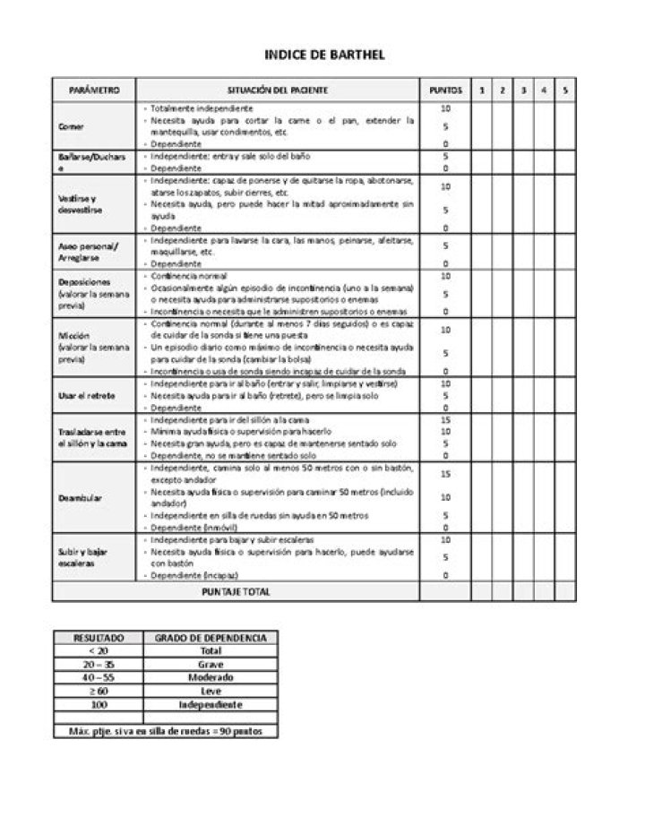 Barthel Test PDF Guide: Essential Testing Protocols & Download