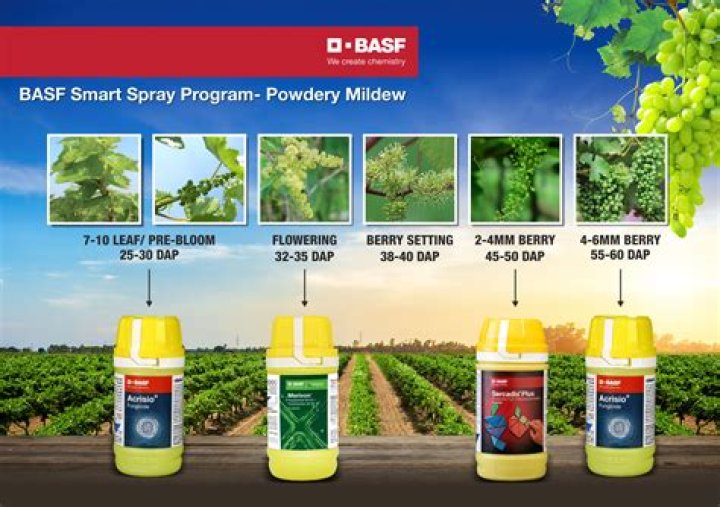Basf Fungicide List PDF: Comprehensive Guide for Crop Protection