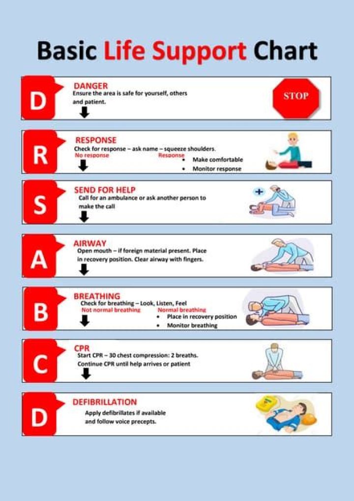 Basic Life Support in Disaster Management: Essential PDF Guide