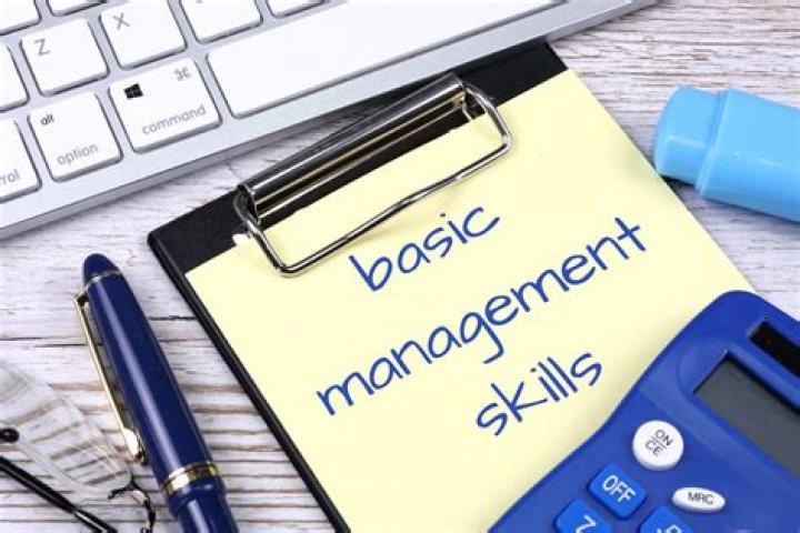 Master Basic Management Skills: Essential PDF Guide for Everyone