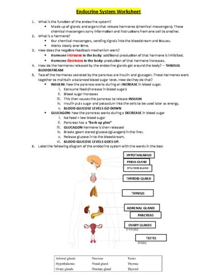 Basic Operating System Questions and Answers PDF: Your Complete Study Guide