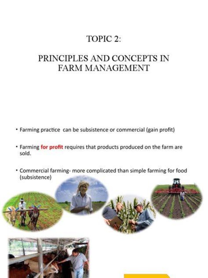 Basic Principles of Farm Management PDF: Essential Guide for Beginners