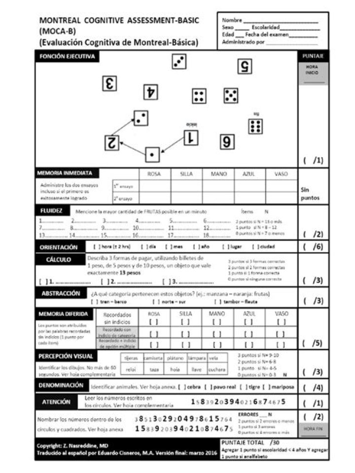 Basic Spanish Test PDF: Practice & Improve Your Language Skills