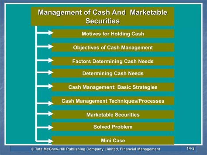 Basic Strategies for Cash Management PDF: Save Money Today