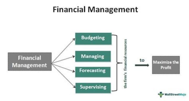 Basic Terms in Financial Management PDF: Your Essential Guide