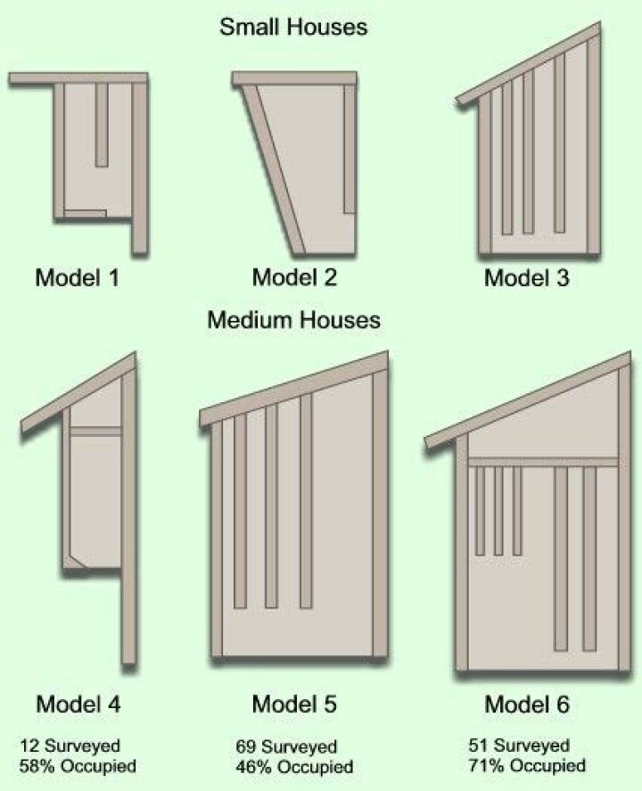 Free Bat House Plans PDF for Easy Installation