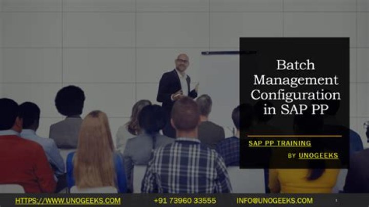 Mastering Batch Management Configuration in SAP MM PDF Guide