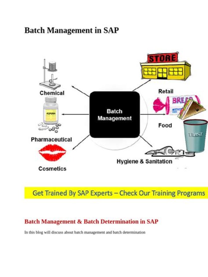 Master Batch Management in SAP with Expert PDF Guide