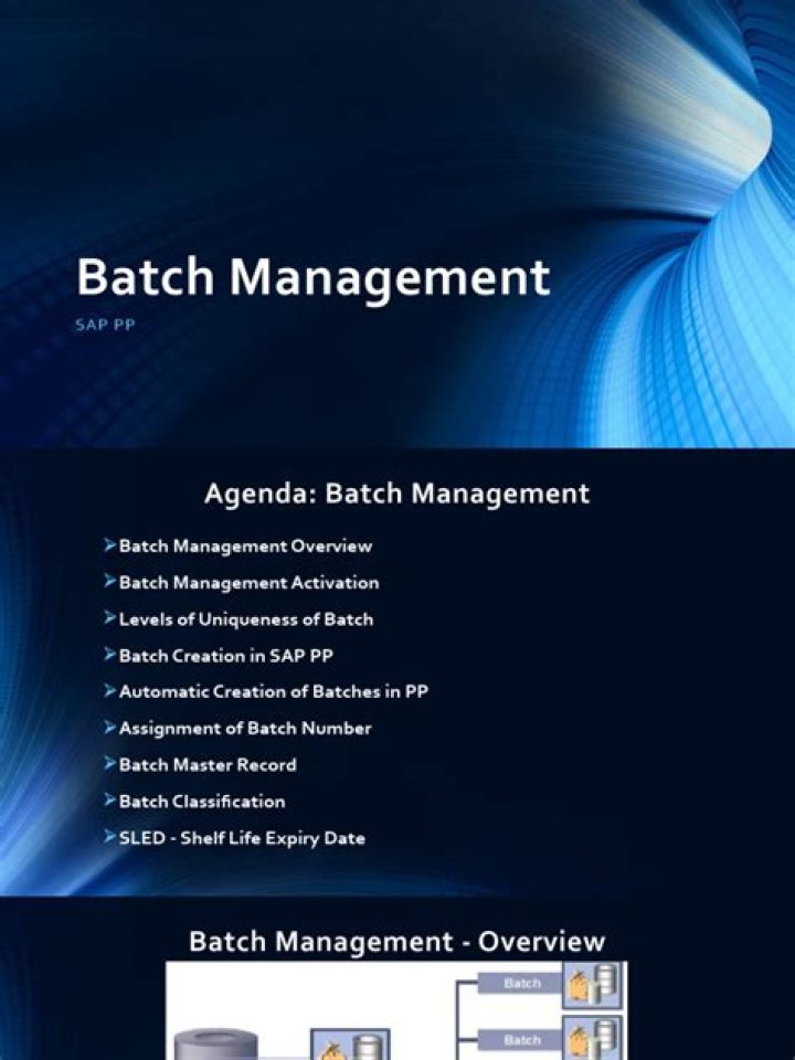 Master Batch Management in SAP PP & PDF: Optimize Production Workflows
